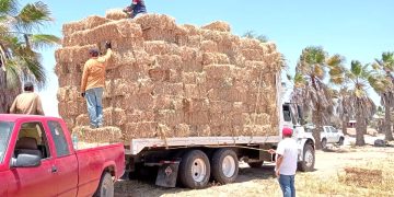 SESIONA SUBCOMITÉ SECTORIAL DE DESARROLLO SOCIAL Y ENERGÍA ESTATAL