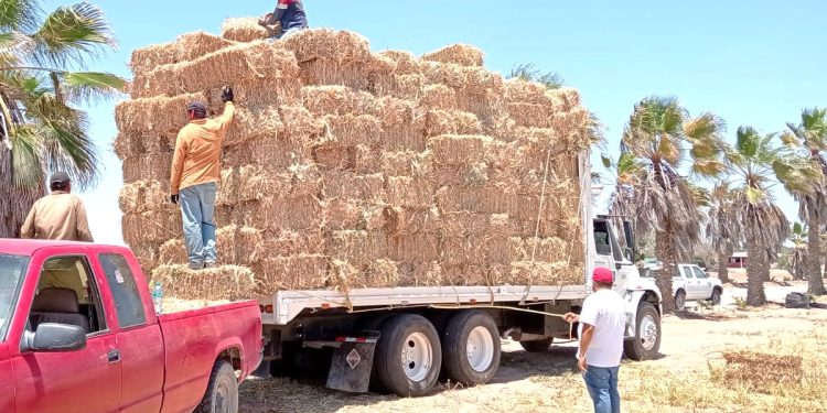 SESIONA SUBCOMITÉ SECTORIAL DE DESARROLLO SOCIAL Y ENERGÍA ESTATAL