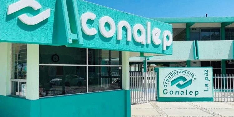 ANUNCIAN A LOS SELECCIONADOS DE LA CONVOCATORIA PACMYC 2025