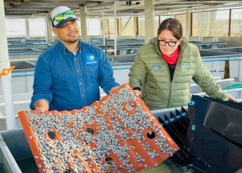 ANUNCIAN A LOS SELECCIONADOS DE LA CONVOCATORIA PACMYC 2025