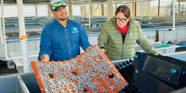 ANUNCIAN A LOS SELECCIONADOS DE LA CONVOCATORIA PACMYC 2025