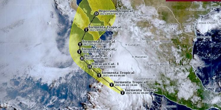CIERRE DE PUERTO EN LOS CABOS