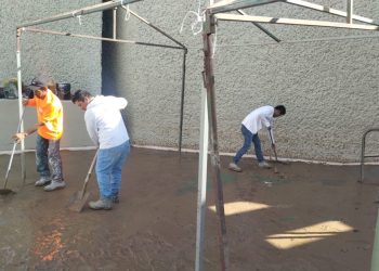 RECOMIENDA IMSS BAJA CALIFORNIA SUR LIMPIEZA  Y DESINFECCIÓN EN CASA PARA EVITAR ALERGIAS