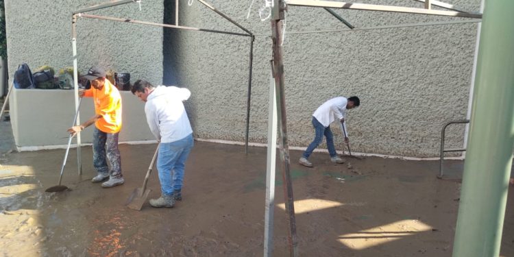 RECOMIENDA IMSS BAJA CALIFORNIA SUR LIMPIEZA  Y DESINFECCIÓN EN CASA PARA EVITAR ALERGIAS