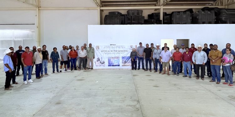 REALIZAN JORNADAS MÁSIVAS DE LIMPIEZA Y DESCACHARRIZACION EN CABO SAN LUCAS