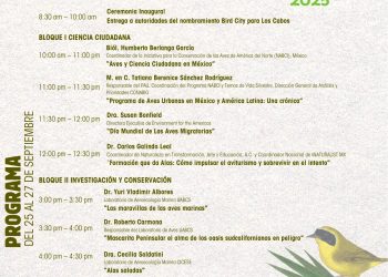 PRESENTAN PROGRAMA OFICIAL DEL PRIMER FESTIVAL INTERNACIONAL DE LAS AVES LOS CABOS 2025