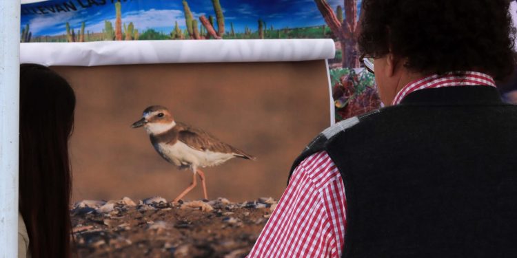 CUMPLIMENTA PGJE ORDEN DE APREHENSIÓN POR ABUSO SEXUAL DE MENOR EN COMONDÚ