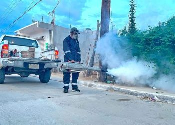 AYUNTAMIENTO DE LA PAZ Y UABCS REPORTAN  RESULTADOS EXITOSOS DE LA PASADA 8VA EDICIÓN DE LA JORNADA “MÁS QUE RECICLAR”