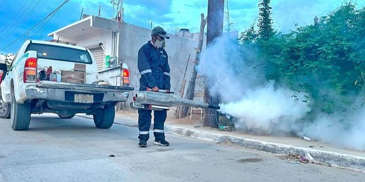 AYUNTAMIENTO DE LA PAZ Y UABCS REPORTAN RESULTADOS EXITOSOS DE LA PASADA 8VA EDICIÓN DE LA JORNADA “MÁS QUE RECICLAR”