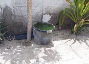 RECOMIENDA IMSS BAJA CALIFORNIA SUR MEDIDAS CLAVE PARA PREVENIR EL DENGUE