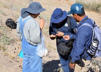 ACADÉMICOS DE LA UABCS TRABAJAN EN PROYECTO DE CONSERVACIÓN DE FLORA Y PATRIMONIO  BIOCULTURAL EN COMUNIDADES RURALES