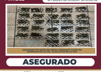 ASEGURA PGJE 700 DOSIS DE NARCÓTICOS DURANTE CATEO EN LA COLONIA OLAS ALTAS EN LA PAZ