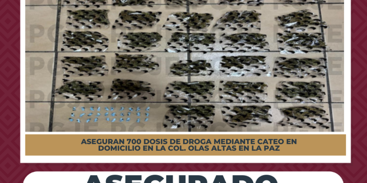 ASEGURA PGJE 700 DOSIS DE NARCÓTICOS DURANTE CATEO EN LA COLONIA OLAS ALTAS EN LA PAZ