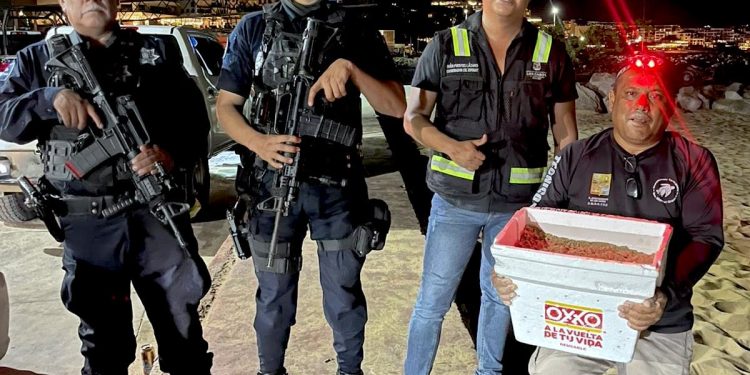 SEGURIDAD PÚBLICA DE LOS CABOS LOGRA DETENCIÓN A DOS MASCULINOS POR PRESUNTO ROBO A LUGAR CERRADO