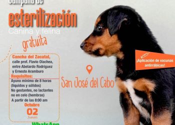 REALIZARÁN CAMPAÑA GRATUITA DE ESTERILIZACIÓN Y VACUNACIÓN ANTIRRABICA EN EL ZACATAL EN SAN JOSÉ DEL CABO