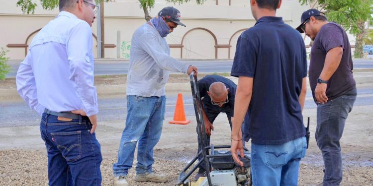 SUPERVISA OFICIAL MAYOR DE LOS CABOS TRABAJOS DE REHABILITACIÓN SOBRE CARRETERA TRANSPENINSULAR
