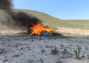 RESULTADOS DE LA FGR EN EL ESTADO DE BAJA CALIFORNIA SUR, EN EL MES DE AGOSTO DEL 2025