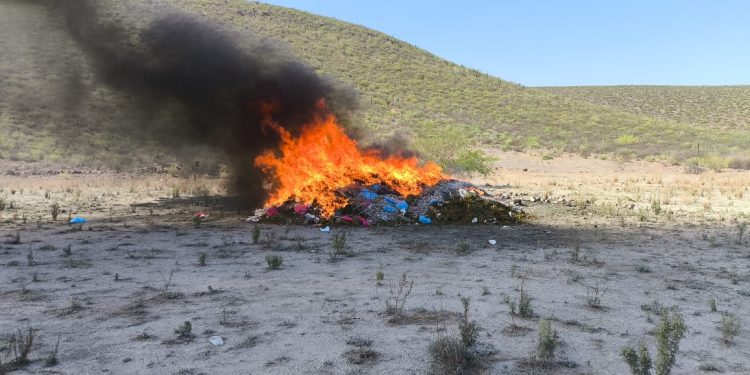RESULTADOS DE LA FGR EN EL ESTADO DE BAJA CALIFORNIA SUR, EN EL MES DE AGOSTO DEL 2025