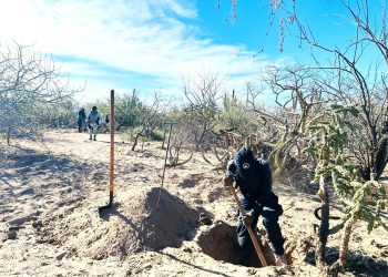 SESIONA SUBCOMITÉ SECTORIAL DE DESARROLLO SOCIAL Y ENERGÍA ESTATAL