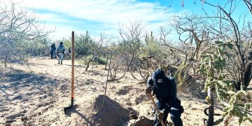 SESIONA SUBCOMITÉ SECTORIAL DE DESARROLLO SOCIAL Y ENERGÍA ESTATAL