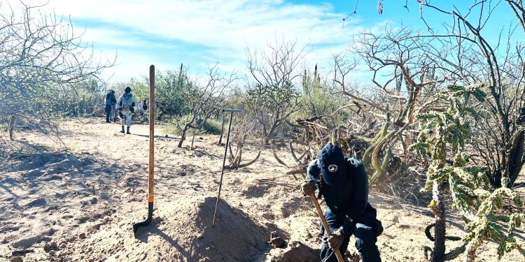 SESIONA SUBCOMITÉ SECTORIAL DE DESARROLLO SOCIAL Y ENERGÍA ESTATAL