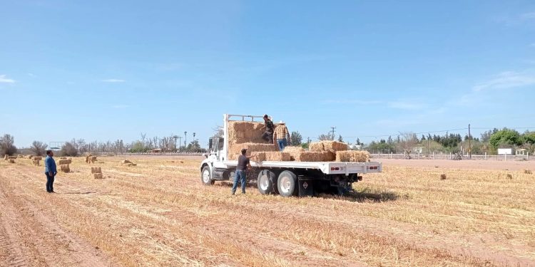 INAUGURA GOBERNADOR VCC CONGRESO INTERNACIONAL DE SEGURIDAD AÉREA