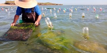COEPRIS RESTABLECE LA VENTA DE ALIMENTOS EN LA VÍA PÚBLICA DE CABO SAN LUCAS
