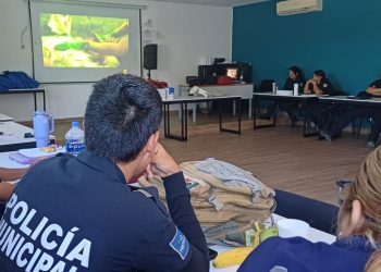 COEPRIS RESTABLECE LA VENTA DE ALIMENTOS EN LA VÍA PÚBLICA DE CABO SAN LUCAS