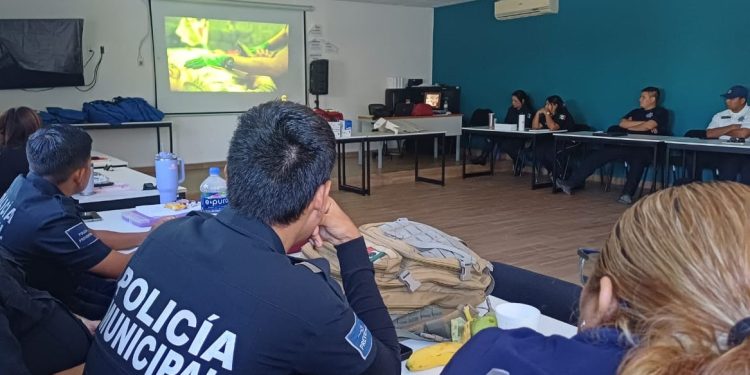 COEPRIS RESTABLECE LA VENTA DE ALIMENTOS EN LA VÍA PÚBLICA DE CABO SAN LUCAS