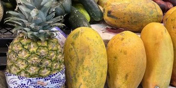RECOMIENDA IMSS BAJA CALIFORNIA SUR REFORZAR SISTEMA INMUNOLÓGICO CONSUMIENDO VITAMINA C Y A   