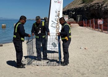 ICATEBCS ENTREGA PRIMEROS RECONOCIMIENTOS OFICIALES DE COMPETENCIAS LABORALES
