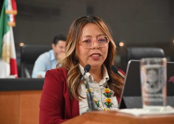 QUE TRANSPORTE DE DOBLE REMOLQUE CIRCULEN SÓLO EN HORARIOS NOCTURNOS PROPONE LA DIPUTADA TERESITA VALENTÍN