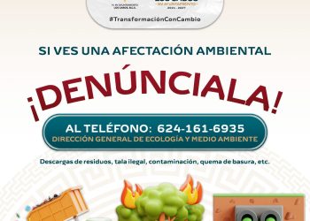 PONEN A DISPOSICIÓN LÍNEA TELEFÓNICA PARA REPORTAR DAÑOS AMBIENTALES EN LOS CABOS