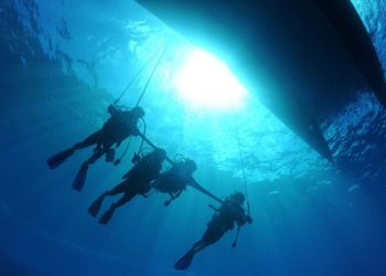 UABCS PUBLICARÁ SU CONVOCATORIA DE ADMISIÓN A BIOLOGÍA MARINA ESTE PRÓXIMO VIERNES