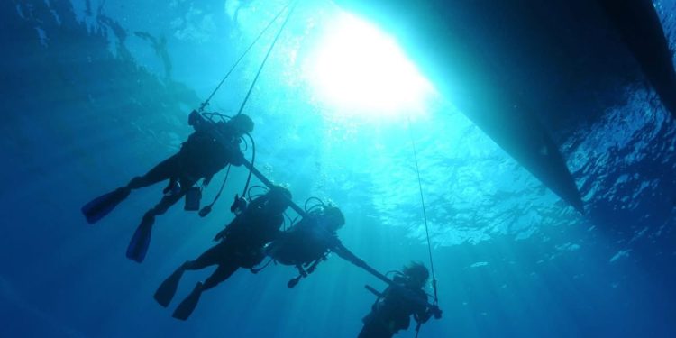 UABCS PUBLICARÁ SU CONVOCATORIA DE ADMISIÓN A BIOLOGÍA MARINA ESTE PRÓXIMO VIERNES