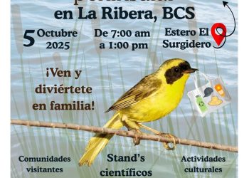 CELEBRARÁ LOS CABOS TERCERA COPA DE PARANATACIÓN EN EL MARCO DEL ANIVERSARIO DEL PROGRAMA “ TOCANDO CORAZONES “