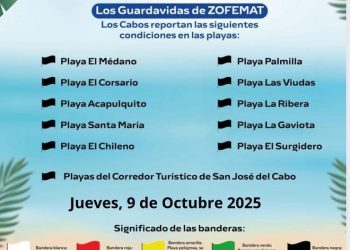 MAS DE 300 PERSONAS PARTICIPAN EN JORNADA DE LIMPIEZA EN PLAYAS DE CABO SAN LUCAS