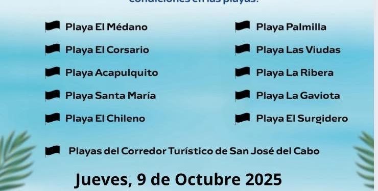 MAS DE 300 PERSONAS PARTICIPAN EN JORNADA DE LIMPIEZA EN PLAYAS DE CABO SAN LUCAS