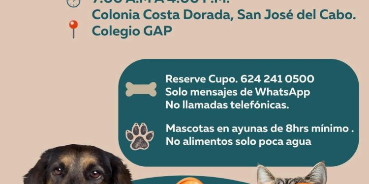 MAS DE 300 PERSONAS PARTICIPAN EN JORNADA DE LIMPIEZA EN PLAYAS DE CABO SAN LUCAS