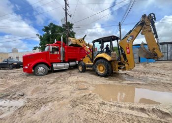 LOS CABOS TENDRÁ LA PRIMERA FUNERARIA PARA MASCOTAS