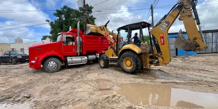LOS CABOS TENDRÁ LA PRIMERA FUNERARIA PARA MASCOTAS