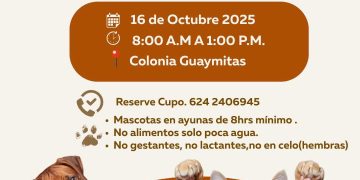 ANUNCIA AYUNTAMIENTO DE LOS CABOS PAGO DE APOYOS ECONÓMICOS A ESTUDIANTES DE TODOS LOS NIVELES EDUCATIVOS