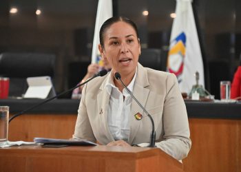 ANALIZA CONGRESO INICIATIVA QUE CONSOLIDA EL PRINCIPIO DE INTERÉS SUPERIOR DE LA NIÑEZ CON REFORMAS A LOS CÓDIGOS PENAL Y CIVIL DE BCS