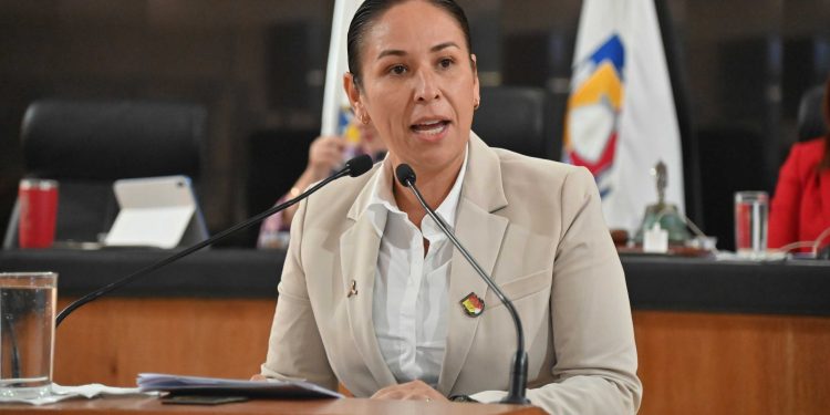 ANALIZA CONGRESO INICIATIVA QUE CONSOLIDA EL PRINCIPIO DE INTERÉS SUPERIOR DE LA NIÑEZ CON REFORMAS A LOS CÓDIGOS PENAL Y CIVIL DE BCS