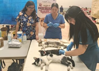 SE REÚNE GOBERNADOR VÍCTOR CASTRO COSÍO CON  DIPUTADOS LOCALES Y EL CABILDO DE COMONDÚ