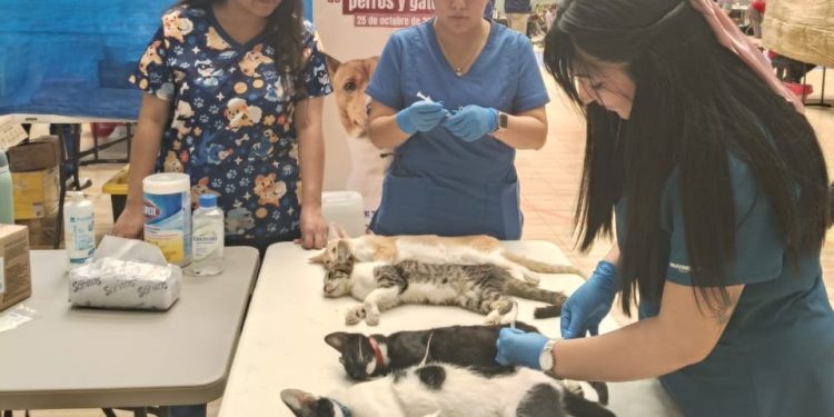 SE REÚNE GOBERNADOR VÍCTOR CASTRO COSÍO CON DIPUTADOS LOCALES Y EL CABILDO DE COMONDÚ