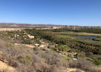 INVESTIGADORAS DE LA UABCS RECIBEN BECA DE INVESTIGACIÓN POR PROYECTO BIOCULTURAL EN EL MUNICIPIO DE MULEGÉ