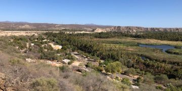INVESTIGADORAS DE LA UABCS RECIBEN BECA DE INVESTIGACIÓN POR PROYECTO BIOCULTURAL EN EL MUNICIPIO DE MULEGÉ
