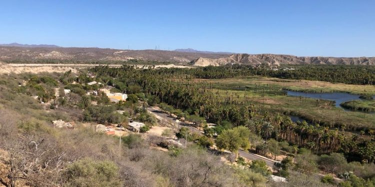 INVESTIGADORAS DE LA UABCS RECIBEN BECA DE INVESTIGACIÓN POR PROYECTO BIOCULTURAL EN EL MUNICIPIO DE MULEGÉ