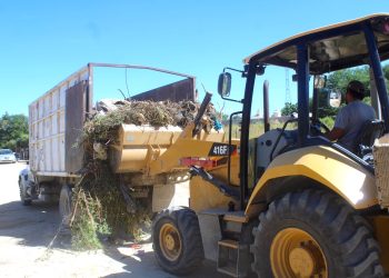 AUTORIDADES MUNICIPALES REVISAN LOS AVANCES EN LA ACTUALIZACIÓN DEL SISTEMA CATASTRAL   